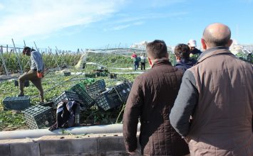 Sánchez Haro visita las zonas de invernadero afectadas por el tornado en Almería y transmite su apoyo a los agricultores