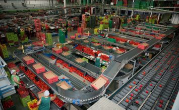 Cooperativas Agro-alimentarias pide al Gobierno rectificación en la reducción de módulos que evite agravios comparativos