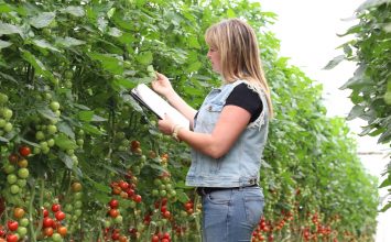 El 30% de los ingenieros técnicos agrícolas en el campo almeriense son mujeres