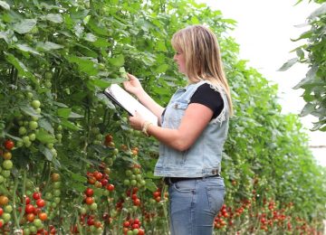 El 30% de los ingenieros técnicos agrícolas en el campo almeriense son mujeres