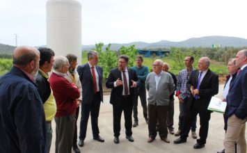 Sánchez Haro aplaude la capacidad creativa de la DOP Sierra de Segura para diferenciar su aceite de oliva de montaña