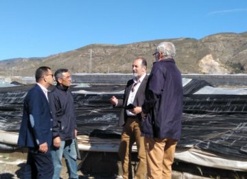 Las primeras estimaciones de daños por el granizo de ayer cifran en 15 las hectáreas afectadas en La Mojonera