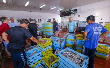 Las 25 lonjas andaluzas comercializan 19.364,9 toneladas de pescado y marisco por 66,7 millones hasta junio de 2018