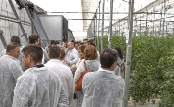 Verdita reúne a sus agricultores para compartir la excelencia del Tomate ADORA®