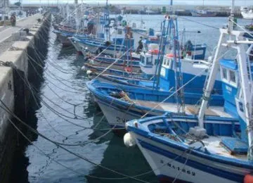 Clara Aguilera: «Estamos más cerca de que se reanude la actividad pesquera en Marruecos»