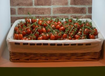 El tomate rama Lobello Caparrós Premium, Sabor del Año 2019 para los consumidores