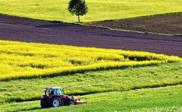 La Junta inicia un nuevo pago de 43,9 millones de euros a la agricultura ecológica y agroambientales