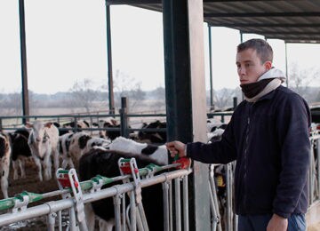 UPA: “Los industriales españoles son followers de los franceses y se están cargando la ganadería láctea de aquí”