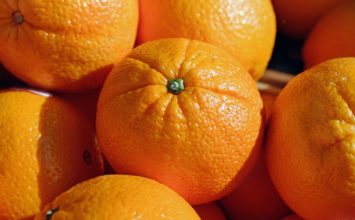 Unión de Uniones revela que Sudáfrica utiliza en sus naranjas al menos 62 materias activas de pesticidas prohibidas en la UE