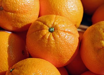 Unión de Uniones revela que Sudáfrica utiliza en sus naranjas al menos 62 materias activas de pesticidas prohibidas en la UE