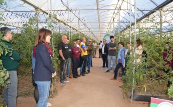 El Grupo Operativo que investiga sistemas de riego más eficientes en cultivo de tomate cherry avanza hacia una agricultura sostenible