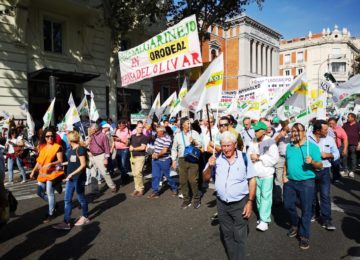 Más de 1.200 cooperativistas granadinos participan en la manifestación por el aceite de oliva en Madrid