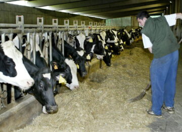 ASAJA Granada apoya la protesta del sector que exigirá precios justos para el  ganadero de leche