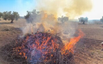 Unión de Uniones consigue que se rectifique la ley estatal que prohíbe las quemas agrícolas