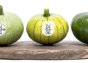 Zucchiolo, la nueva hortaliza entre el pepino y el calabacín que se va a comercializar en la provincia