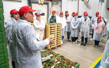 Visita de jóvenes agricultores a La Palma, ejemplo de éxito cooperativo