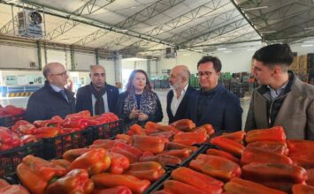 Andalucía llega a los 1.434 M€ en exportaciones de productos agroalimentarios en enero de 2024