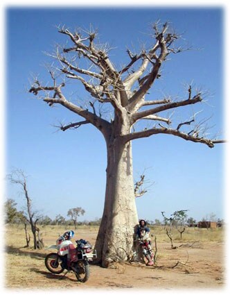 Mario junto al primer baobab de la ruta 