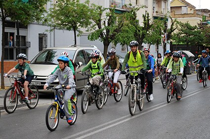 Participantes en la ciclomarcha por la Vega/A.A.
