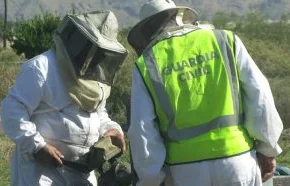 Asaja-Almería denuncia una oleada en robos de colmenas en la provincia