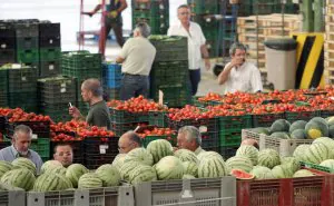 El Gobierno concede una rebaja fiscal para los productores de hortalizas