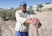 Las organizaciones agrarias piden urgencia para la puesta en marcha de las medidas contra la sequía
