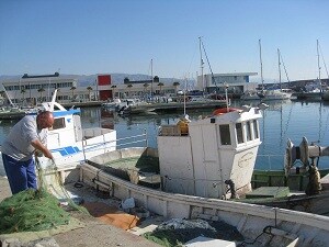 El plazo para solicitar ayudas para campañas de promoción y planes de mejora del sector pesquero concluye el 30 de junio