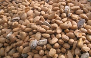 Almería incrementa un 5% el volumen de la exportación de frutos secos entre enero y abril
