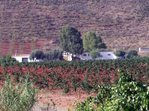 La Junta promueve la difusión y fomento de la producción ecológica en la Red de Espacios Naturales Protegidos de Andalucía