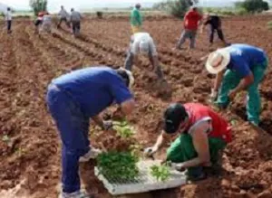 Amfar presenta «agrolonja.es», la plataforma de promoción del medio rural