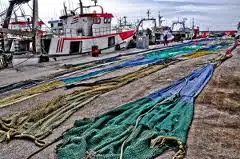 La Consejería de Agricultura, Pesca y Medio Ambiente aprueba una ayuda para la mejora del pesquero Moby Dick Tres