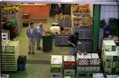 El sector hortofrutícola de Almería incrementó un 12% el valor de las exportaciones de verduras hasta octubre de 2012