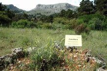La Junta inicia mañana en Almería unos cursos de difusión de la Red de Jardines Botánicos en Espacios Naturales