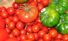 Las Administraciones española y marroquí acuerdan constituir un grupo específico de trabajo sobre el tomate
