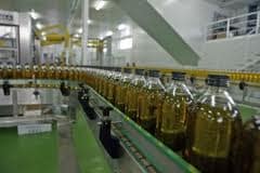 El aceite de oliva virgen, con casi 1.000 millones, lidera el valor de las exportaciones agroalimentarias andaluzas durante 2012