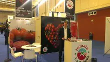 Innovación, dinamismo y ambición para el equipo de trabajo de Parquenat para potenciar el sabor tradicional del tomate