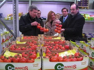 Almería exportó en el primer trimestre hortalizas valoradas en 765 millones de euros, un 1,8% más que en 2012