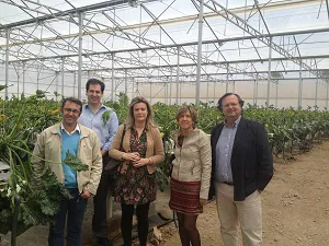 Tecnova traza líneas de trabajo con los centros tecnológicos agroalimentarios andaluces