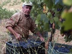 La Unión de Uniones resalta que de nuevo los conflictos de la UE con otros países repercuten en los agricultores españoles