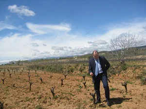 La producción de uva de mesa y de vinificación de Almería se estima que crecerá un 20% la próxima campaña
