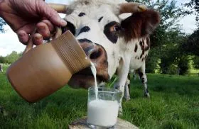 UPA critica la gestión de los precios lácteos