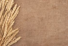 El trigo sube en el principal mercado del mundo