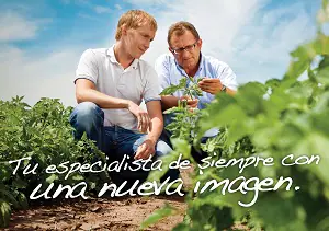 Nueva identidad visual de Nunhems como Bayer CropScience Vegetable Seeds