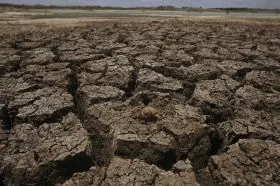 Nueva línea de ayudas para los afectados por la sequía