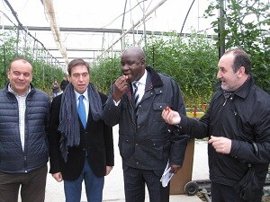 La Junta de Andalucía muestra al embajador de Kenia el modelo de horticultura sostenible de Almería