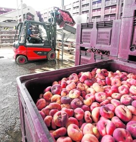 España pide la revisión de los precios de ayuda por retirada de frutas