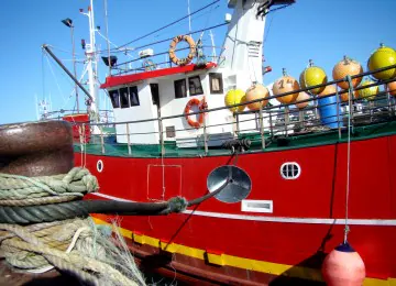 Andalucía rechaza el acuerdo de pesca de la Comisión Europea para 2022 por fijar unos recortes inasumibles para la flota