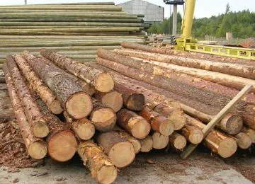 Validadas las primeras 100 licencias FLEGT que aseguran la legalidad de la madera que entra en España