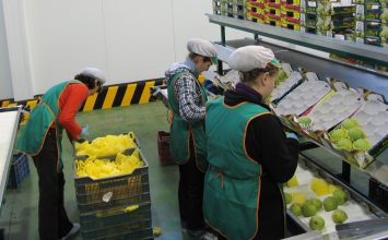 Unicaja Banco renueva su convenio con la Asociación Española de Productores de Frutas Tropicales, del que se beneficiarán cerca de 400 agricultores