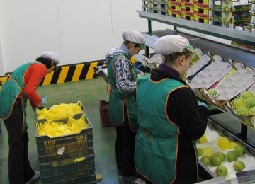 Unicaja Banco renueva su convenio con la Asociación Española de Productores de Frutas Tropicales, del que se beneficiarán cerca de 400 agricultores